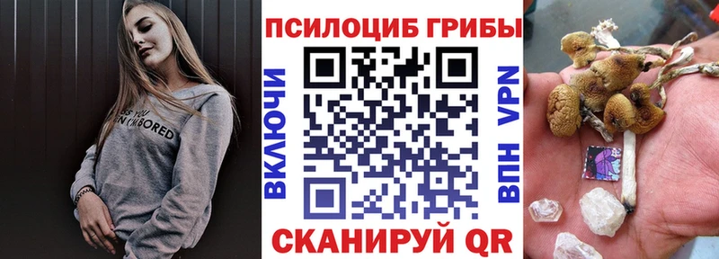 Галлюциногенные грибы GOLDEN TEACHER  купить наркотики сайты  Удачный 